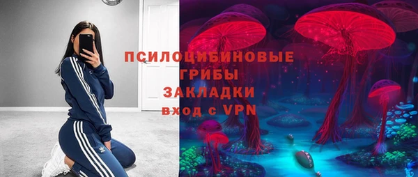 метадон Алексин