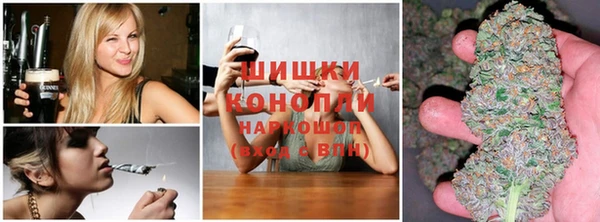 метадон Алексин