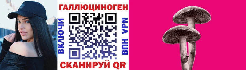 OMG вход  Южно-Сахалинск  Псилоцибиновые грибы мицелий 