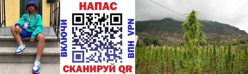 Канабис Bruce Banner Южно-Сахалинск